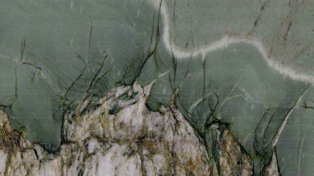 Amazon Butterfly Mermer