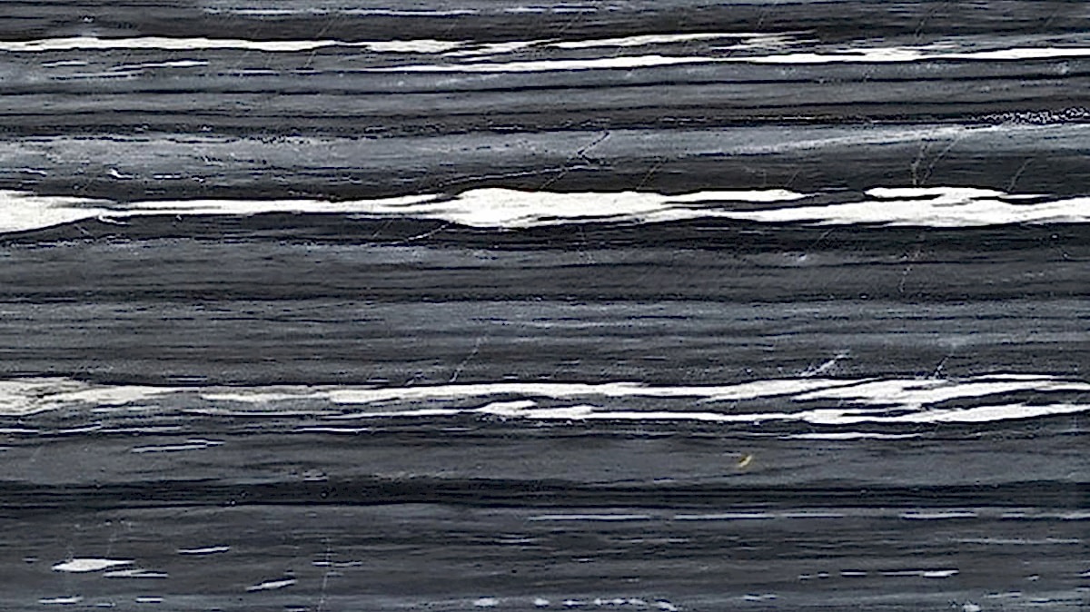 Palissandro Black Mermer