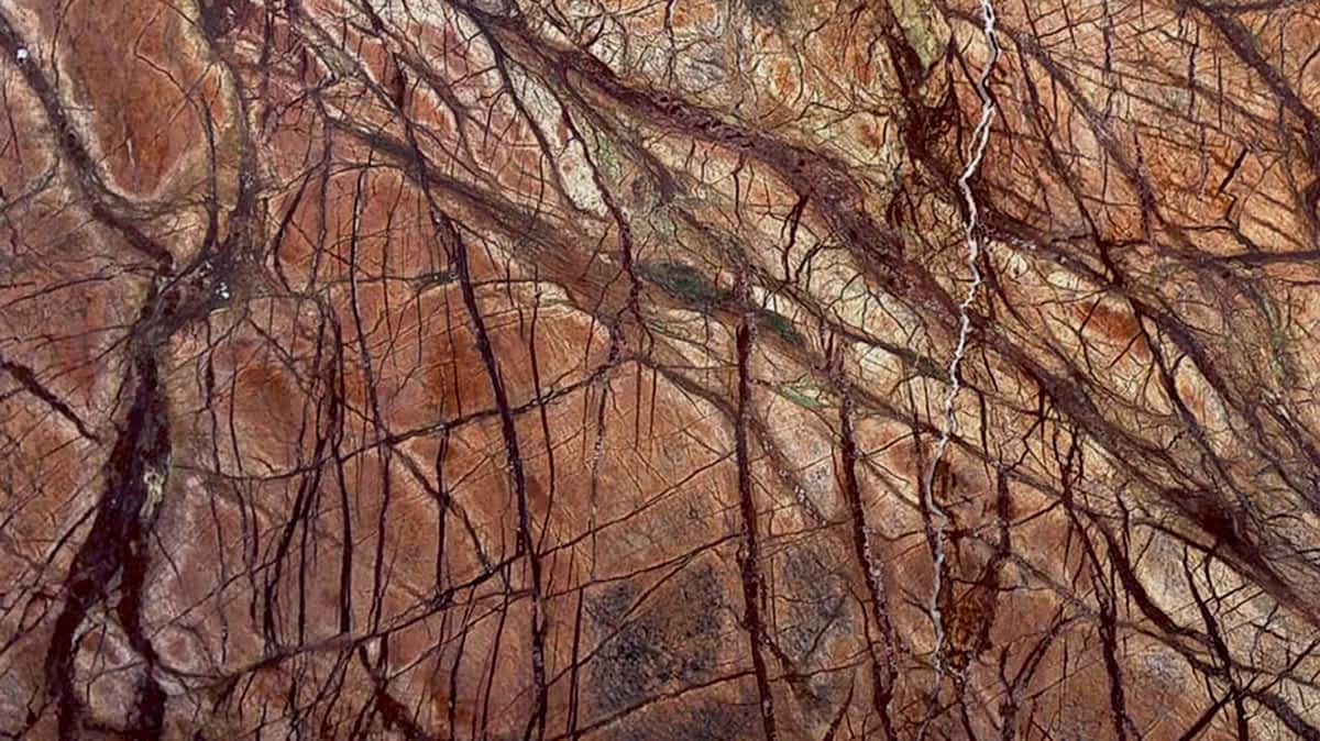 Rain Forest Brown Mermer